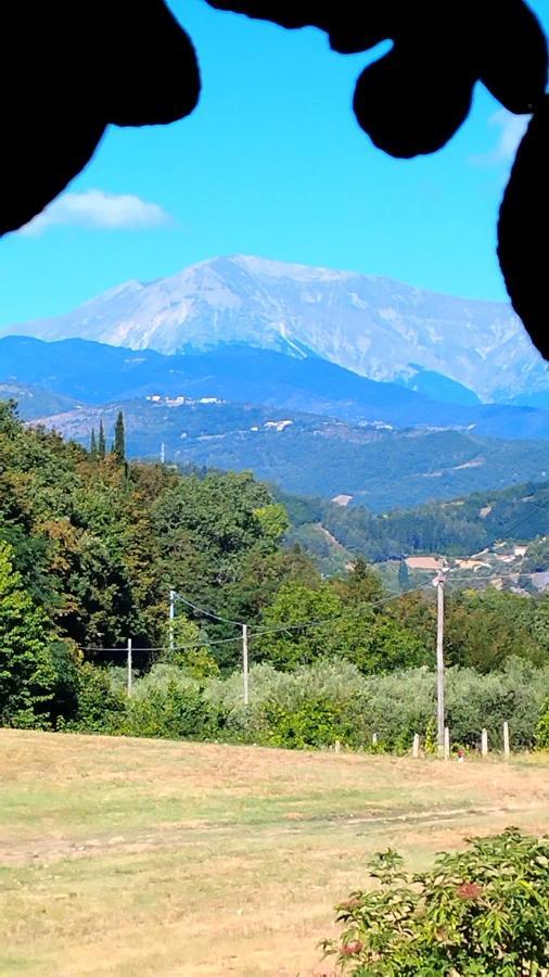 Resort BOUQUET&GOURMET Ascoli Piceno Exterior foto